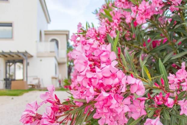 Greece2019 (243 of 249).jpg