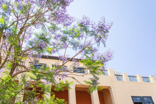 Greece2019 (77 of 249).jpg